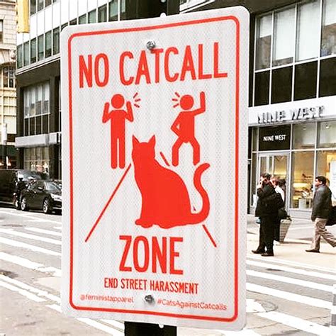 natcet|what is cat calling women.